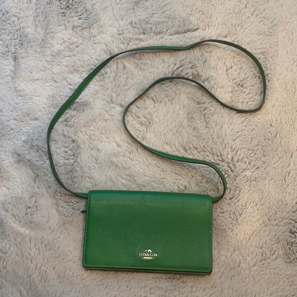 COACH green bag